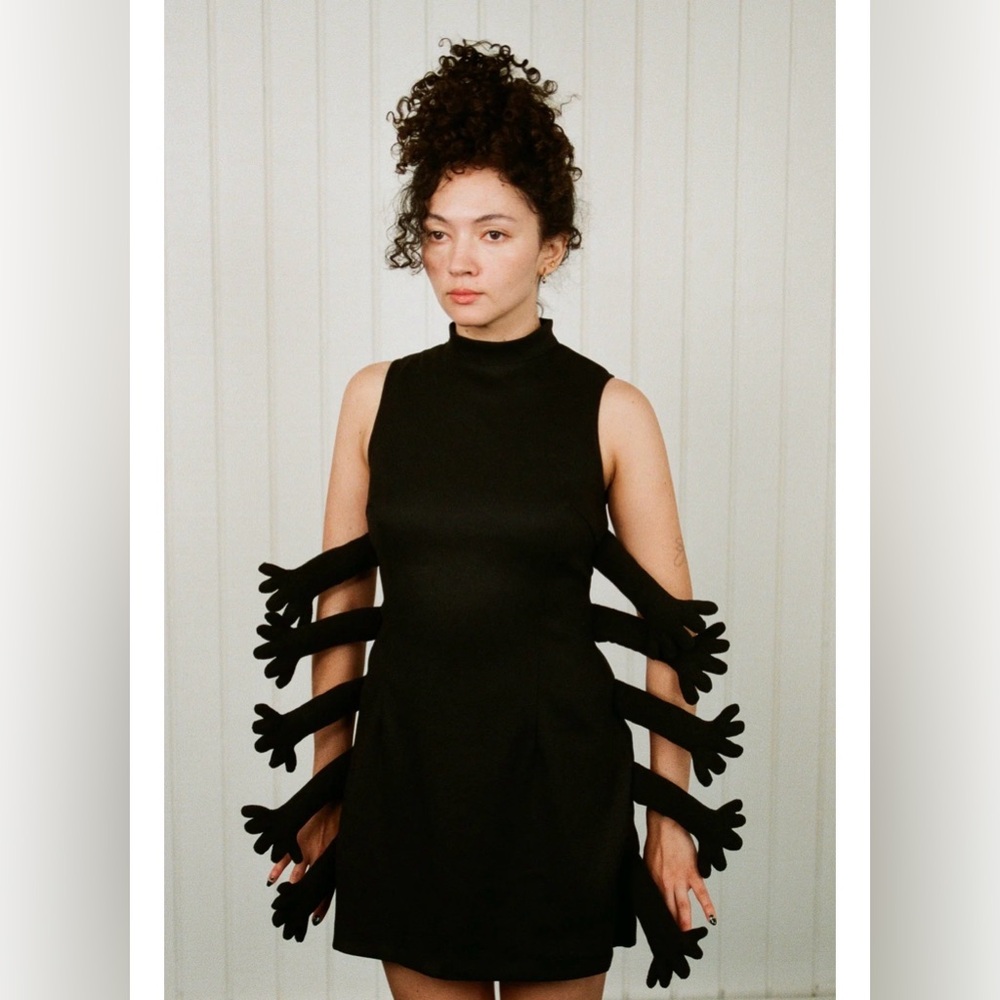 Fashion Brand Company Black Bug Dress